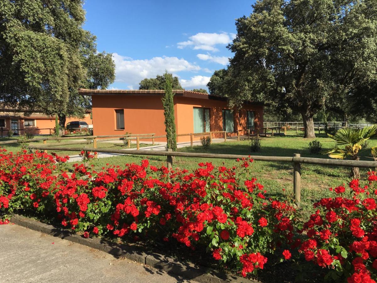 Finca Casaes Apartamentos Torralba de Oropesa Екстериор снимка